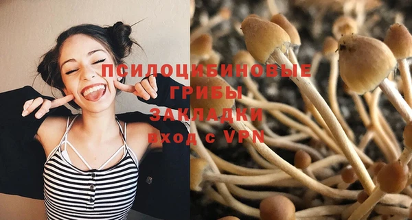 а пвп мука Алзамай